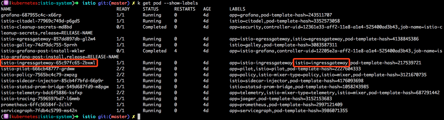 istio ingress gateway pod